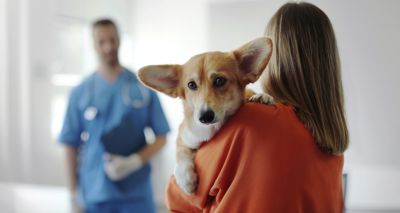 CMA publishes final decision on vet market